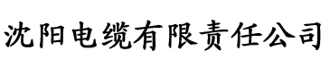 穿越五零抢夫记电缆厂logo